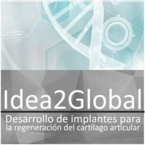 Idea2Global de FIPSE y MIT